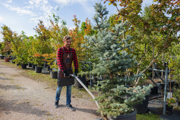 Wildwood, FL  Tree Services Company